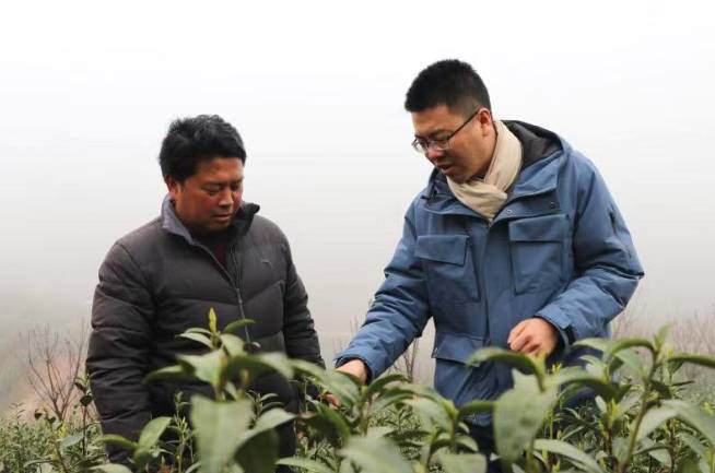 关于安徽宣城：茶产业发展迅猛 茶叶产量达1.4万吨的最新信息(1)