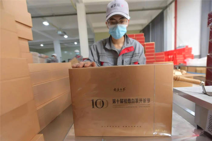 有关于第十届福鼎白茶开茶节纪念茶是什么样？去看看的资讯