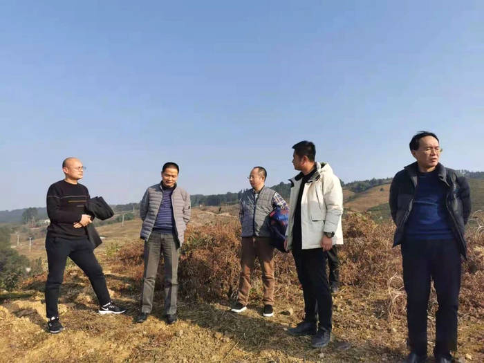 有关于四川省茶叶行业协会一行调研广安茶产业发展规划的最新资讯(1)