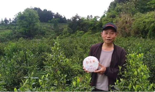 有关于散茶变茶饼 茶产业已成为贵州大坪村致富产业的资讯