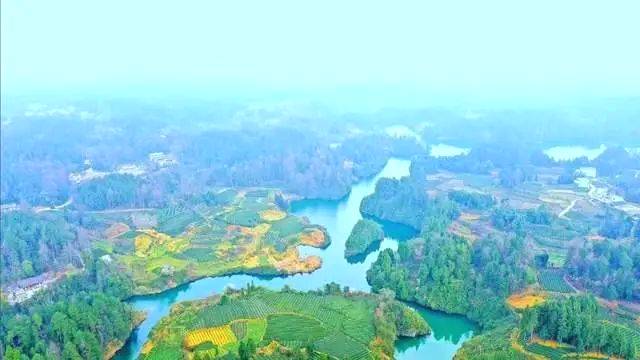 有关于湄潭全国第一！遵义四地入列中国茶业百强县！的热门资讯(1)