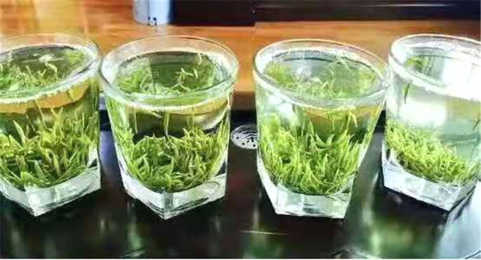 关于汉中春茶生产实现开门红 陕西邮政出台春茶惠农服务助力茶农增收的最新信息(7)