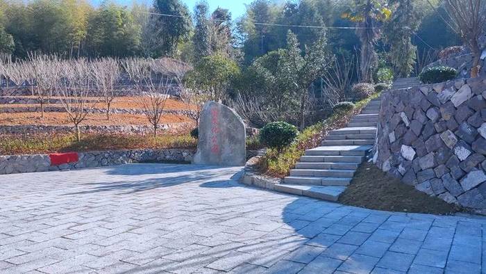 有关于泰顺：做大做优茶文化公园 提升市民幸福感的最新信息