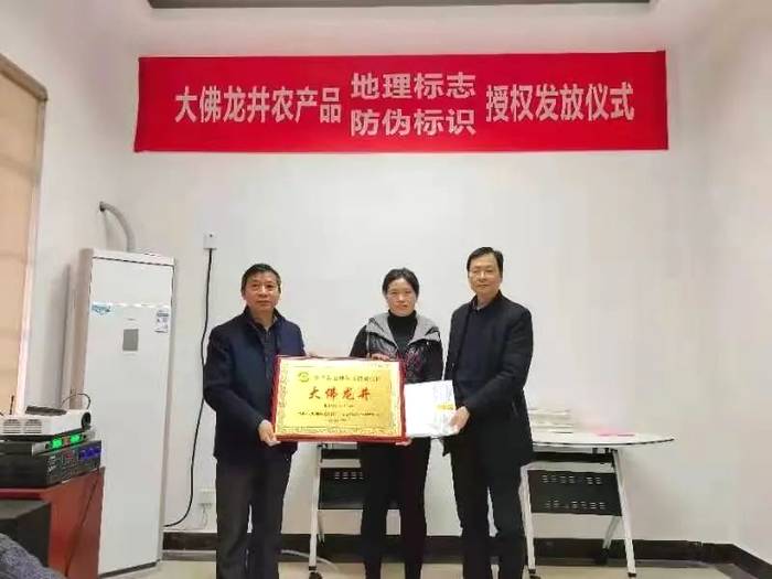 关于大佛龙井正式启动使用农产品“双标”授权仪式的热门资讯(20)