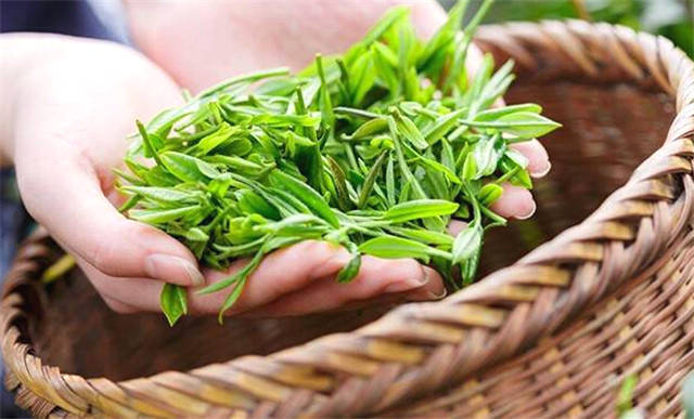 有关于一周速读丨饮品消费进入体验经济时代、茶饮品牌融资近30亿、“打工人”饮品大数据的热门新闻(7)