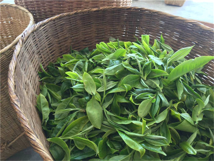 有关于抵制“天价茶”！中国茶叶流通协会倡议维护茶叶流通秩序的最新消息