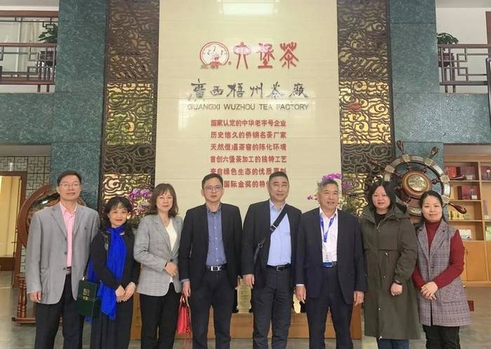 关于巴西巴中友好合作协会、文莱广西总商会到梧州考察六堡茶产业的热门新闻