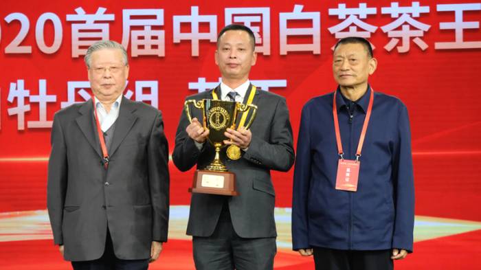 关于习总书记关注的赤溪村，依托白茶产业大变样！的新闻(6)