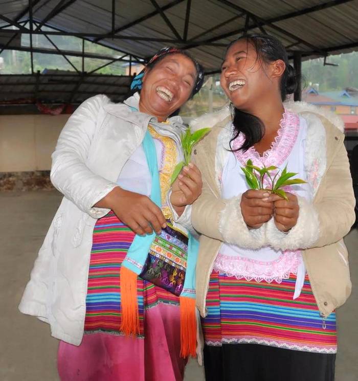 关于5.21国际饮茶日 走进茶企 走进茶山的消息(13)
