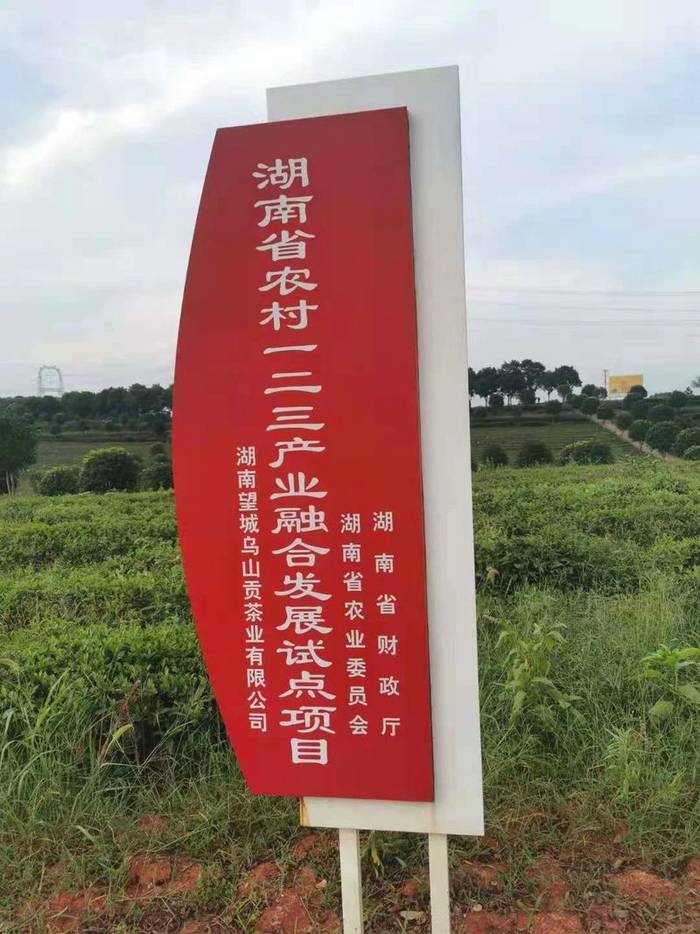 有关于《中国茶全书·四川卷》工作组一行走进湖南长沙参观考察的热门新闻(23)