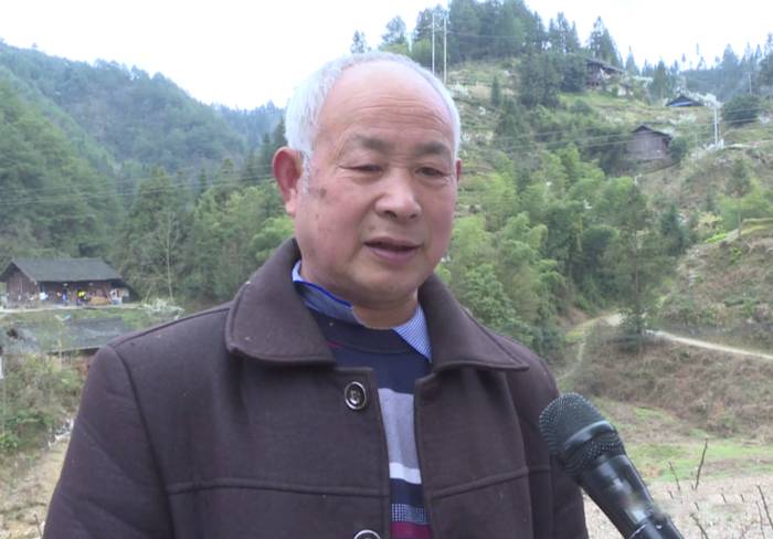 关于雷山县春茶采摘加工正当时，一年一度茶飘香！的热门新闻(1)