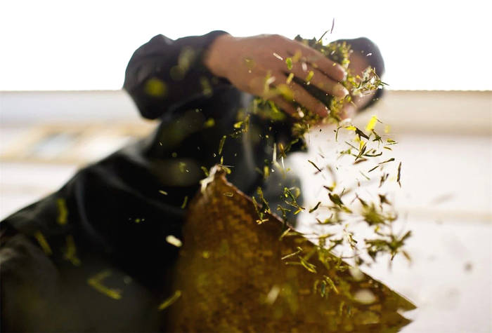 有关于杭州：解码“非遗”·西湖龙井茶采摘制作技艺的热门资讯(2)