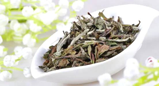 有关于白茶价格再次爆涨30%！白茶市场风口全面爆发！的最新资讯