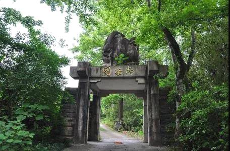 有关于福建省委书记尹力：茶叶是福建的一张名片的热门消息(25)