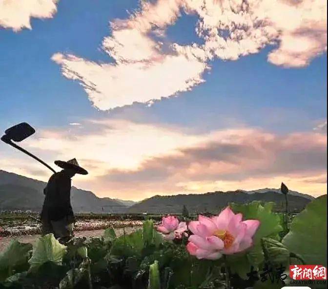 关于南平两部公益宣传片亮相央视 展现武夷岩茶建盏建本等非遗文化的最新资讯(5)