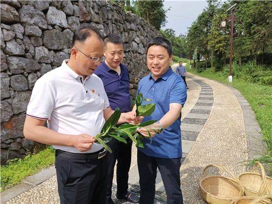 有关于全国优秀县委书记刘勇会:为民多啃“硬骨头”的新闻