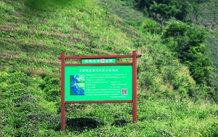 有关于每一片文新茶叶,都有属于自己的生态茶园的热门资讯(9)