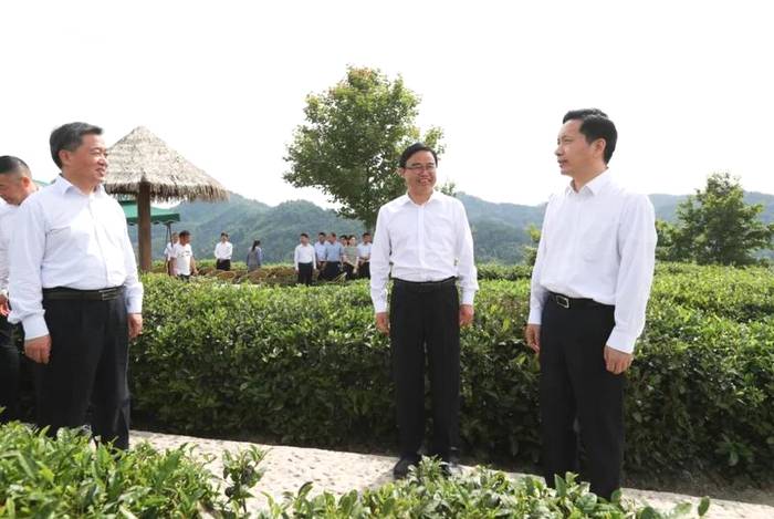 关于“国际茶日”分会场活动在安康平利举办,省长赵一德出席并致辞!的最新资讯(3)