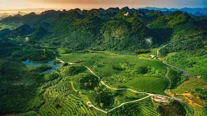 关于3月26日，2021第三届中国·英德红茶头采节，即将启幕！的最新资讯(5)