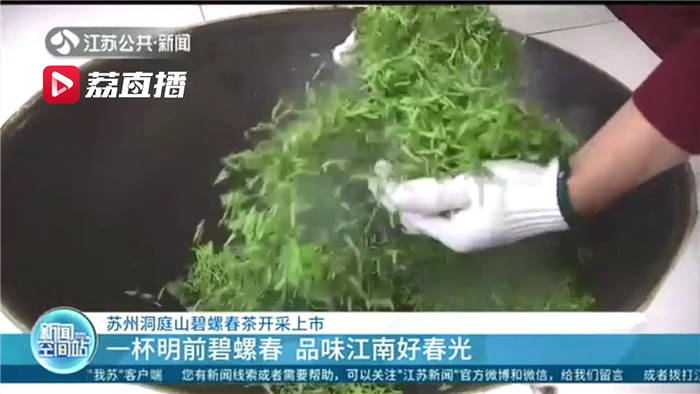 关于一杯明前碧螺春 品味江南好春光 苏州洞庭山碧螺春茶开采上市的新闻(2)