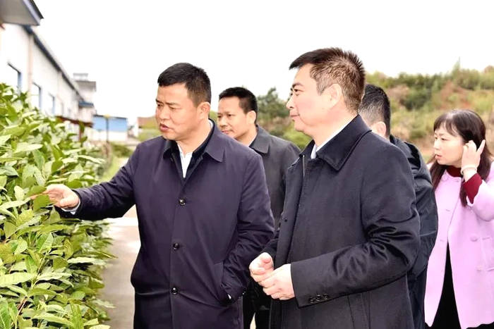 有关于中国供销惠农服务公司董事长刘鹤东一行赴黄山调研茶产业发展与合作的热门资讯(1)