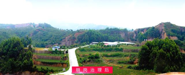 关于央视现场连线安溪,介绍茶园病虫害生物防治等“硬核科技”的最新资讯(2)