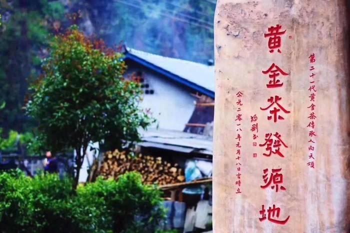 有关于一两黄金一两茶！这款茶很shine很“金贵”！的最新资讯(1)