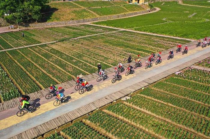 有关于中国有机茶之乡武义，一片茶叶拉动全产业链的热门新闻(3)