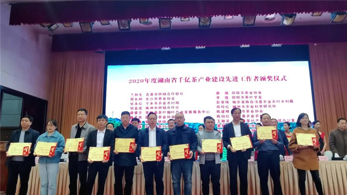 关于推动湘茶高质量发展 助力乡村振兴 湖南省茶叶行业工作会议召开的热门资讯(22)