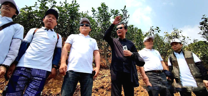 有关于数字 生态茶园概念诞生 足不出户可掌握茶树生长情况的热门信息(1)