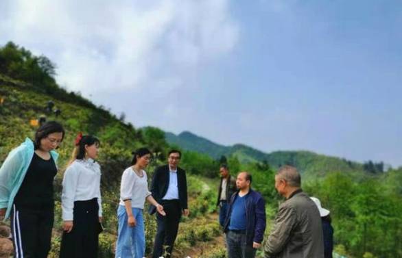 关于毕节市茶产业科技创新人才团队专家现场指导群众采茶的热门信息(1)