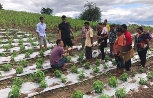 关于临沧永德列列箐：茶叶提高了村民的生活水平的最新信息(3)