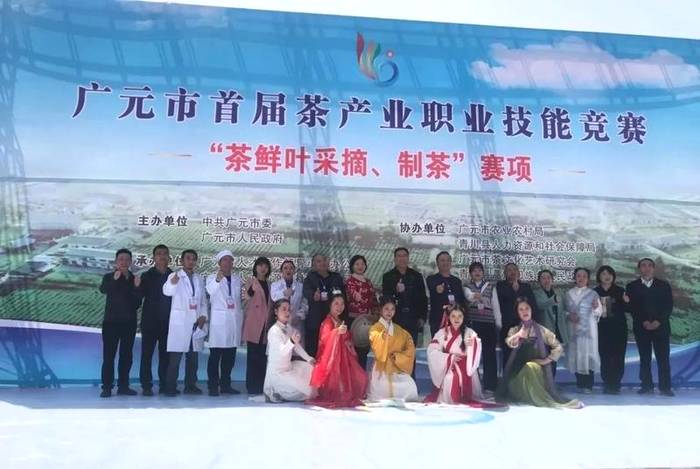 有关于广元市首届茶产业职业技能竞赛采茶与制茶比赛成功举办的新闻(15)