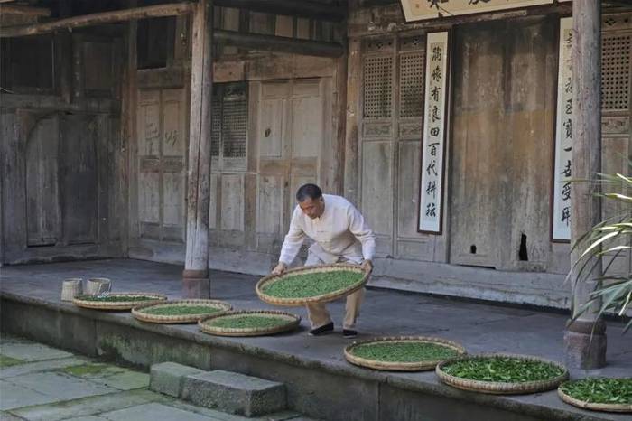 有关于蒙山茶传统制作技艺入选第五批国家级非物质文化遗产代表性项目名录推荐项目名单的热门资讯(11)
