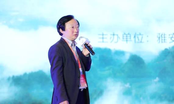 关于蒙顶山·给世界一杯好茶《蒙顶山茶》推介会隆重举行的消息(13)