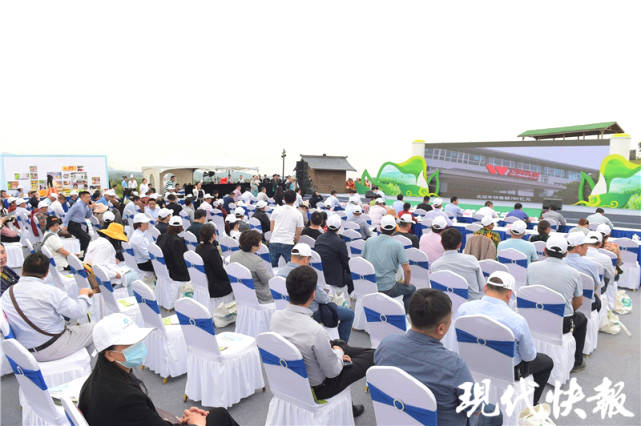 关于南京江宁茶文化月启动，“江宁好茶”正式公布的资讯