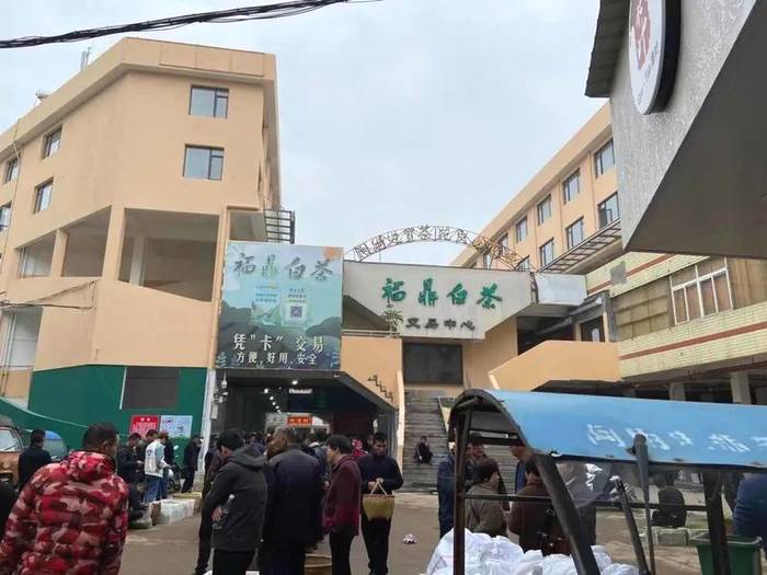 有关于2021年福鼎白茶最新价格行情快讯（2021年3月15日）的资讯