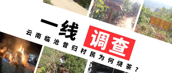 关于【周刊观察】“昔归烧茶”烧出什么教训？的热门消息