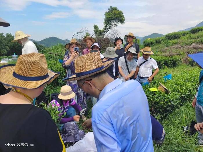 关于首届“茶园管理师（中级）”新型茶农培训班在福鼎顺利结业的最新消息(4)