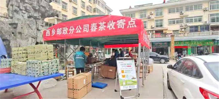 关于汉中春茶生产实现开门红 陕西邮政出台春茶惠农服务助力茶农增收的最新信息(5)