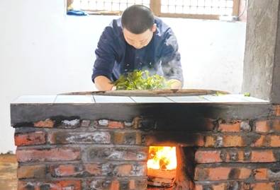 有关于重庆石柱县中益乡 老鹰茶逐渐得到市场认可的热门信息(2)