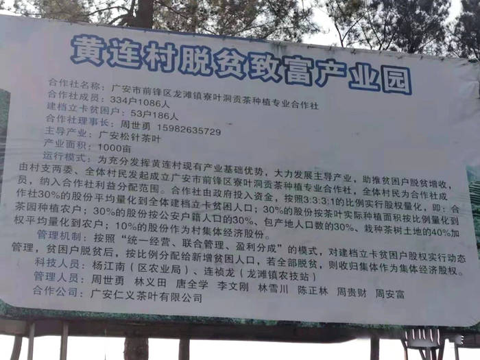 有关于四川省茶叶行业协会一行调研广安茶产业发展规划的最新资讯(7)