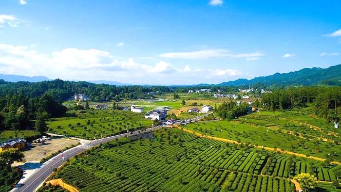 关于湄潭：以路为媒、以路助茶、以茶促旅、以旅兴茶的消息