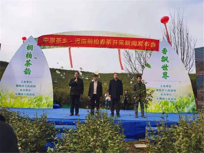 有关于河南桐柏：淮河源头产好茶 生态茶园美如画的最新消息