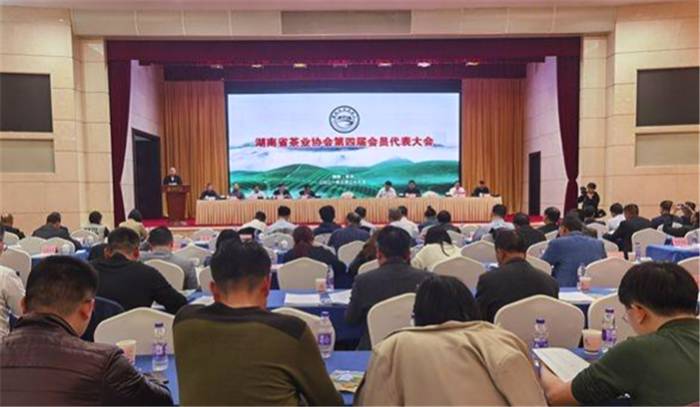 有关于中国茶产业十四五发展规划建议 边销茶增值税免征 中国茶企困于云端的最新资讯(3)