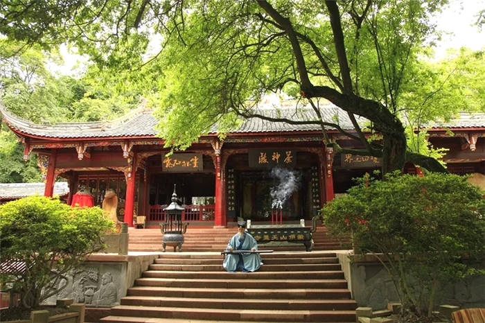 关于坐拥万亩茶田,来四川雅安解锁春日限定耍法的最新信息(5)