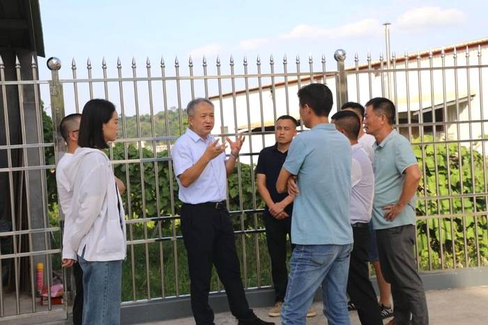 有关于蔡梅生赴点头调研生态茶园示范园茶叶发展工作的信息(5)