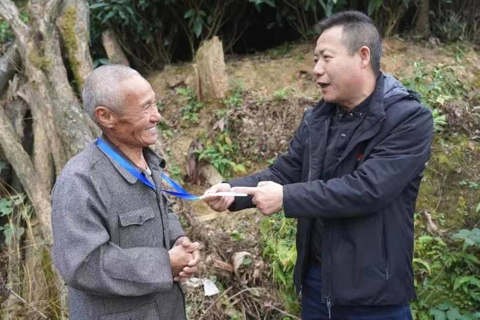 关于春茶在即！快给你的“福鼎白茶”办理“身份证”吧！的消息(2)