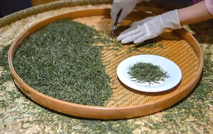 有关于恩施玉露：这款唯一幸存的蒸青绿茶，有浓浓的唐风宋味！的消息(5)