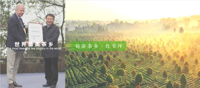 有关于雅安名山：创建天府旅游名县 一片茶叶富裕一方百姓的最新信息(10)